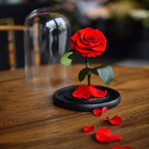 د بازم اشک چشاتو داری با من می باریکه عکس منه تو اتاقت کاغذ دیواری